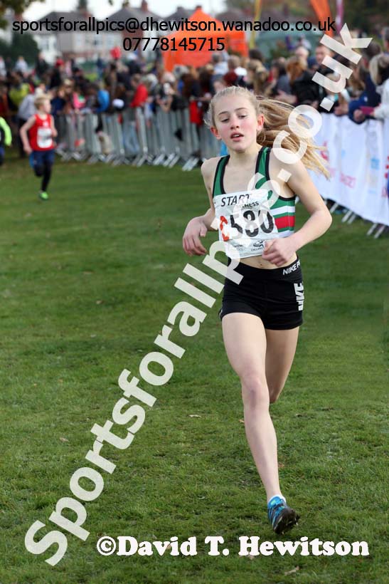 Girls under-13s Northern Cross Country Relays. Photo: David T. Hewitson/Sports for All Pics